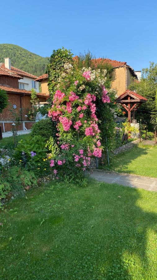 Guest House Simona Sapareva Banya Exterior foto